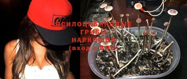 mix Арсеньев